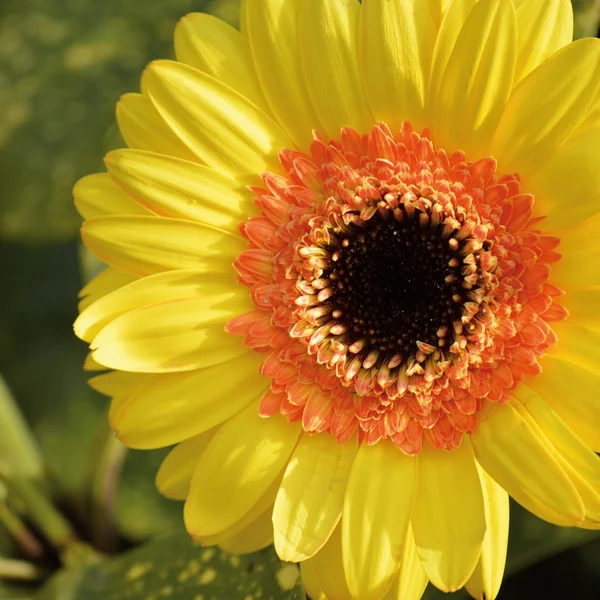 赌博网站捕鱼游戏